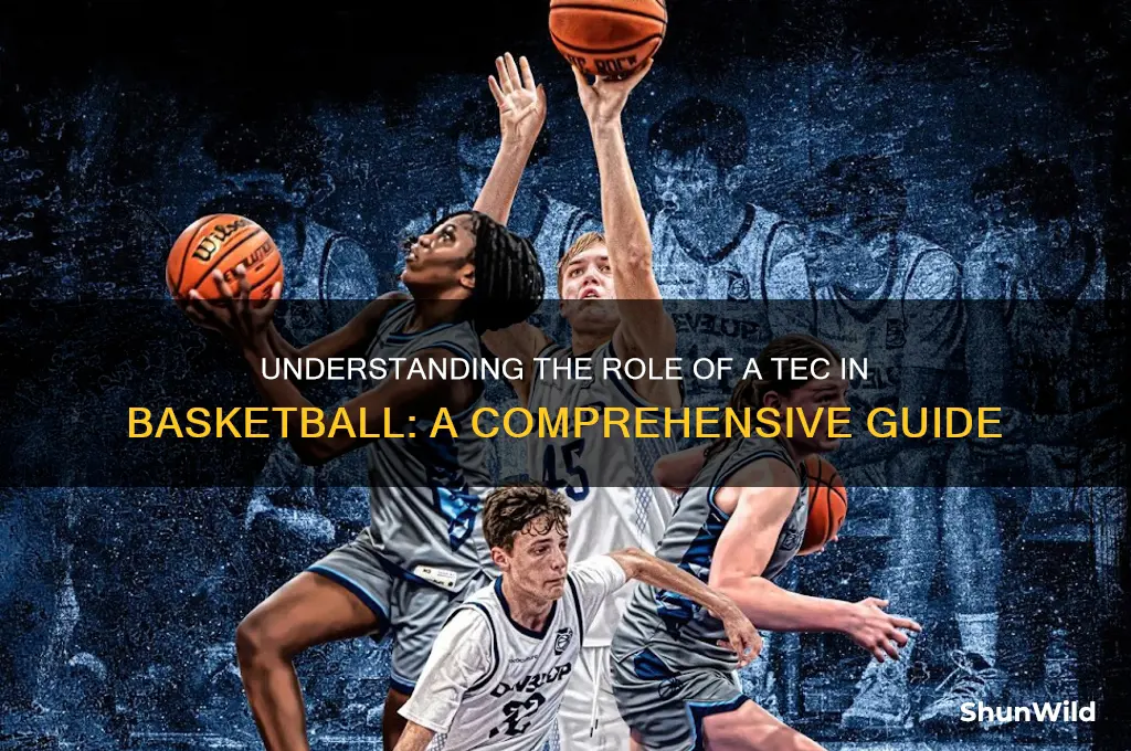 what is a tec in basketball