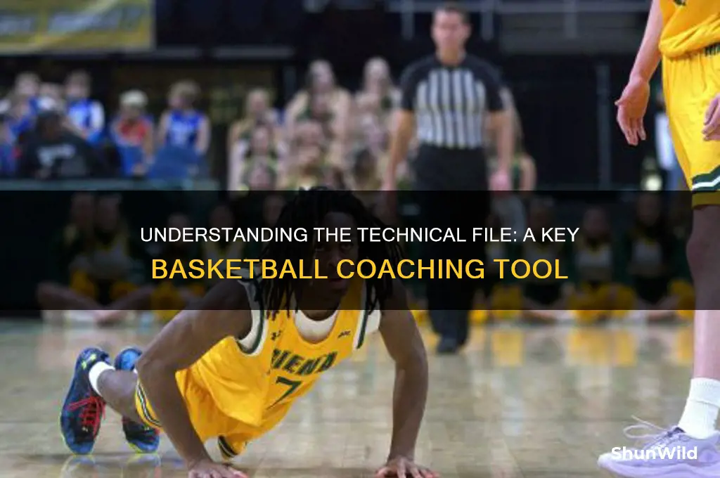 what is a technical file in basketball