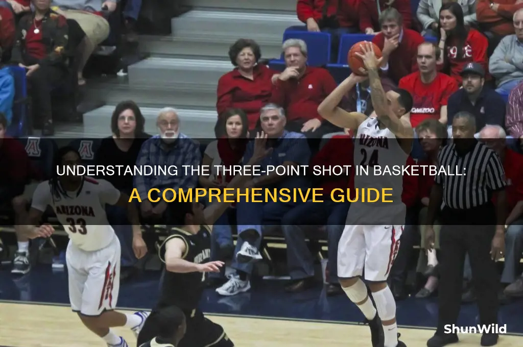 what is a three basketball