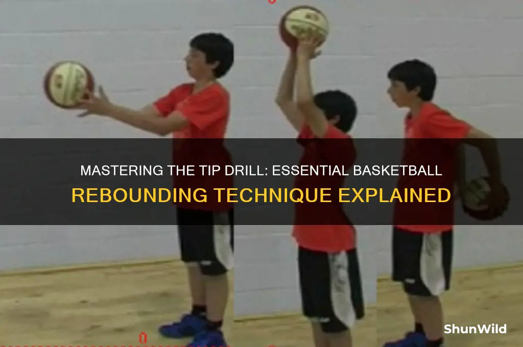 what is a tip drill basketball