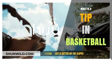 Understanding the Tip in Basketball: Rules, Techniques, and Importance