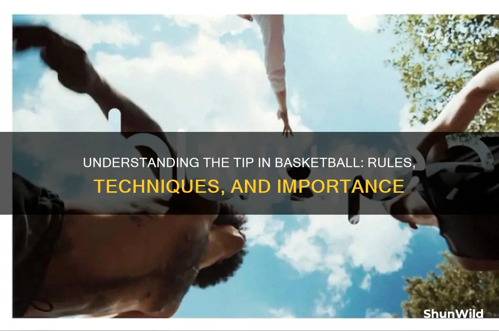 what is a tip in basketball