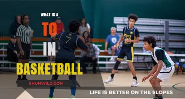 Understanding the Basics: What is a TO in Basketball?
