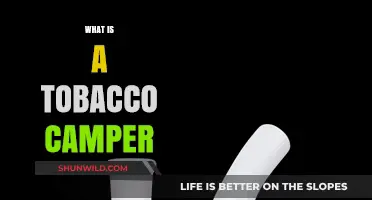 Understanding Tobacco Campers: A Beginner's Guide to Tobacco Enthusiasts