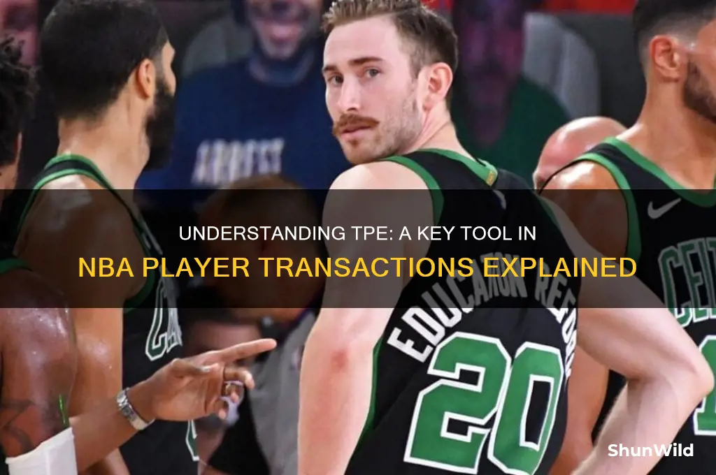 what is a tpe in basketball