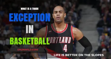 Understanding Trade Exceptions in Basketball: A Comprehensive Guide