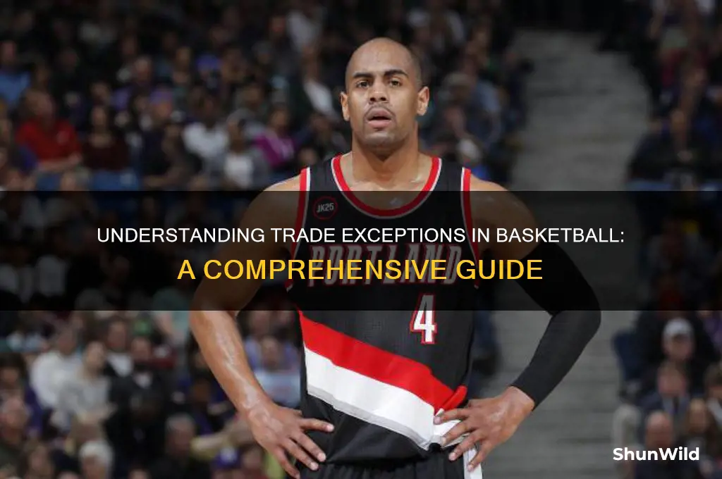 what is a trade exception in basketball