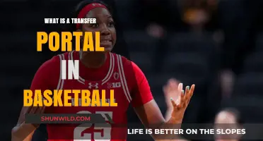 Transfer Portal: Basketball's New Player Trade System