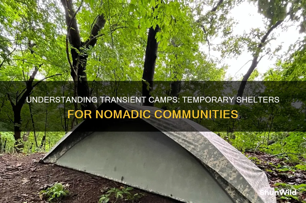 what is a transient camp