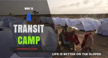 Understanding Transit Camps: Temporary Shelters for Refugees and Displaced People