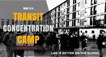 Understanding Transit Concentration Camps: History, Purpose, and Impact