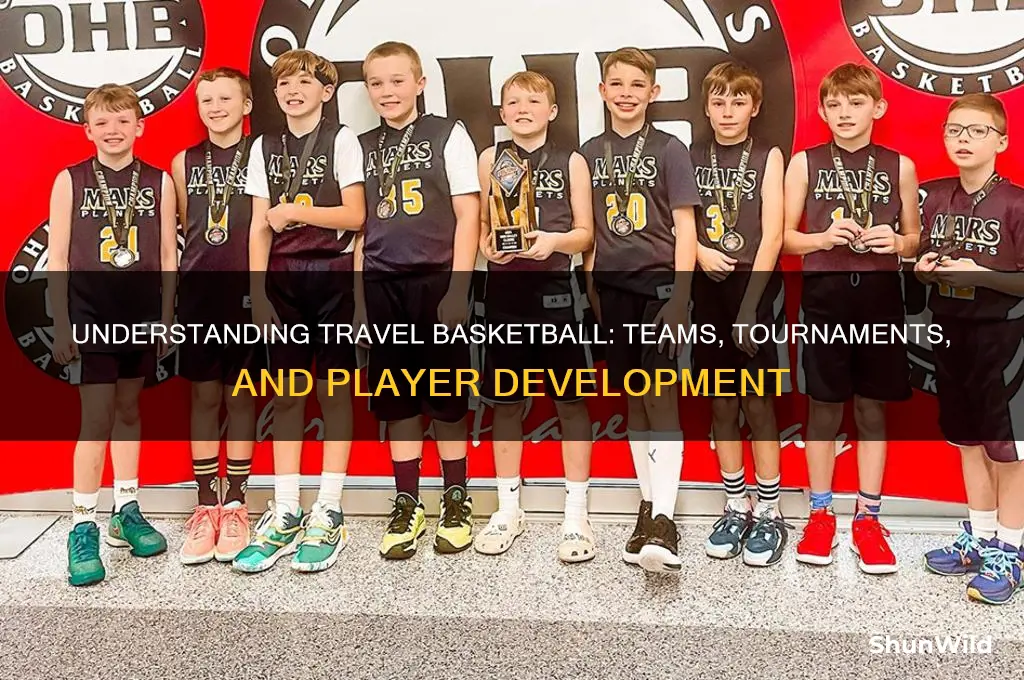what is a travel basketball