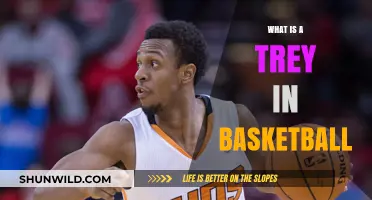 Understanding the Trey: A Breakdown of Basketball's Three-Point Shot