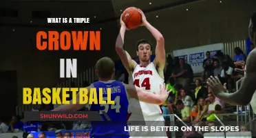 Understanding the Triple Crown: Basketball's Ultimate Team Achievement Explained