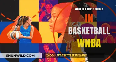 WNBA Triple Double Explained: Stats, Significance, and Record Holders