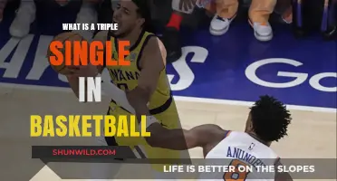 Understanding the Triple Single: A Unique Basketball Statistic Explained
