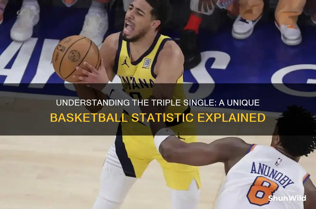 what is a triple single in basketball