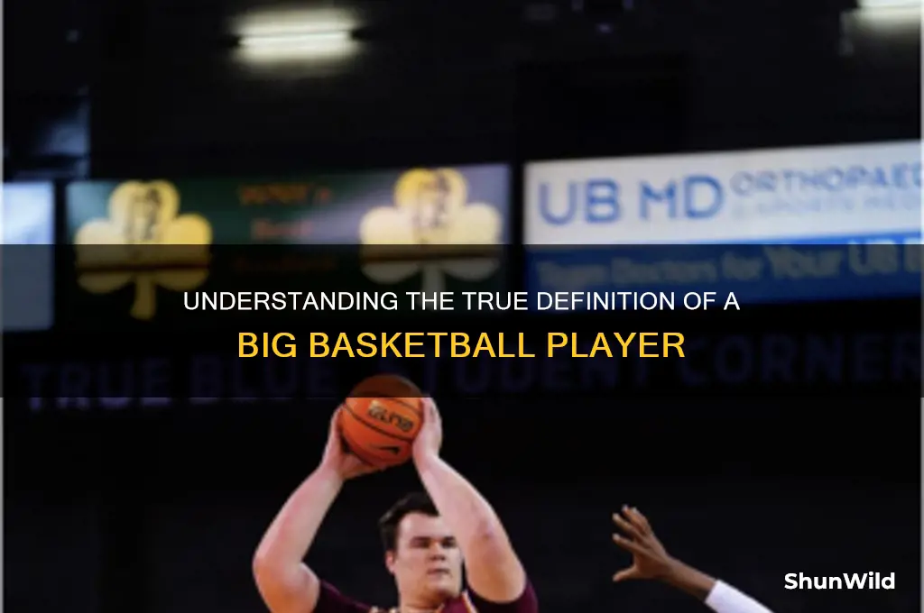 what is a true big basketball