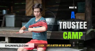 Understanding Trustee Camps: Purpose, Benefits, and Impact Explained