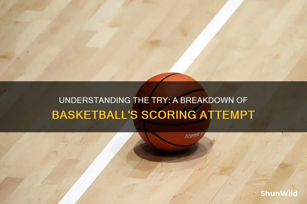 what is a try in basketball