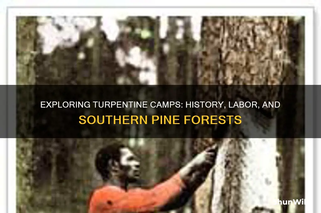what is a turpentine camp