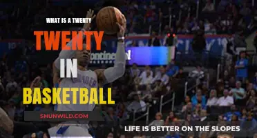 Understanding the 20-20 Stat Line: A Basketball Achievement Explained