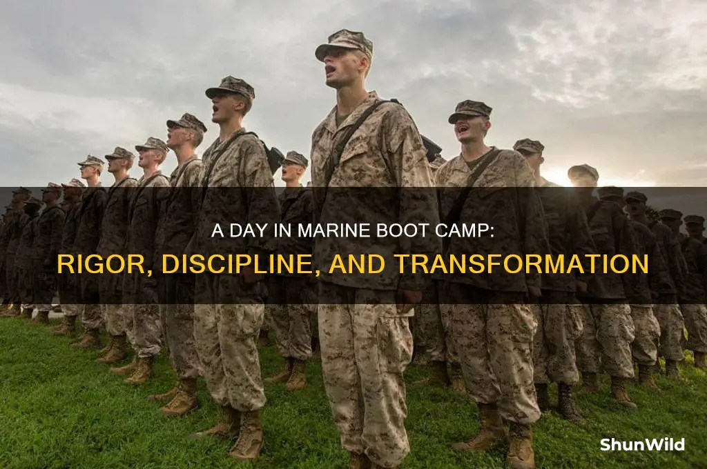 what is a typical day in marine boot camp