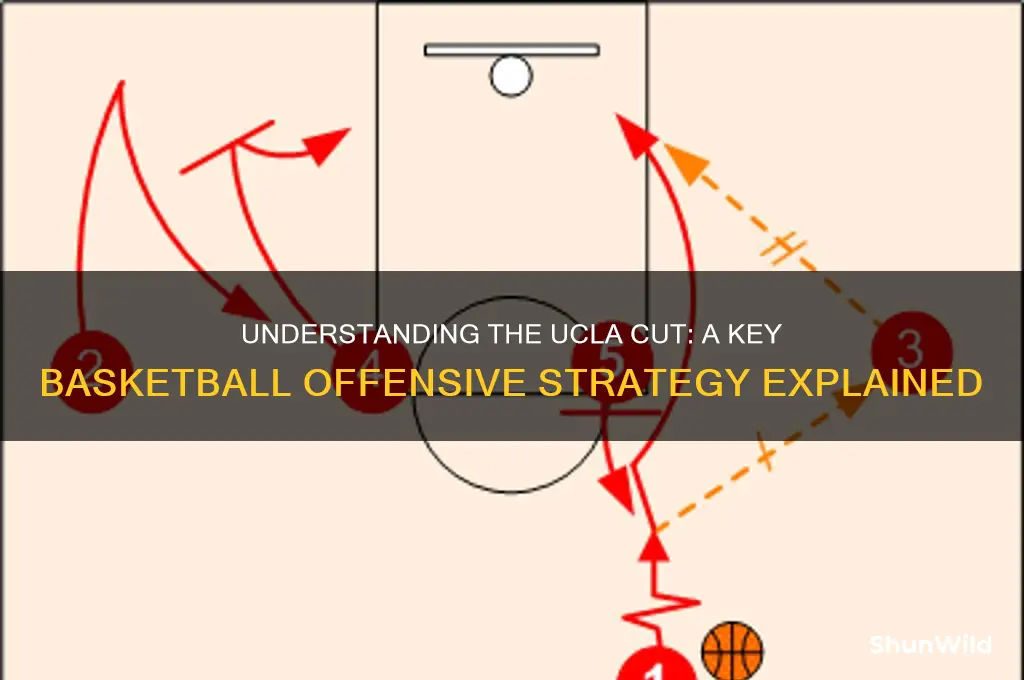 what is a ucla cut in basketball