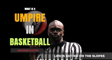 Understanding the Role of a Basketball Umpire: Key Responsibilities Explained