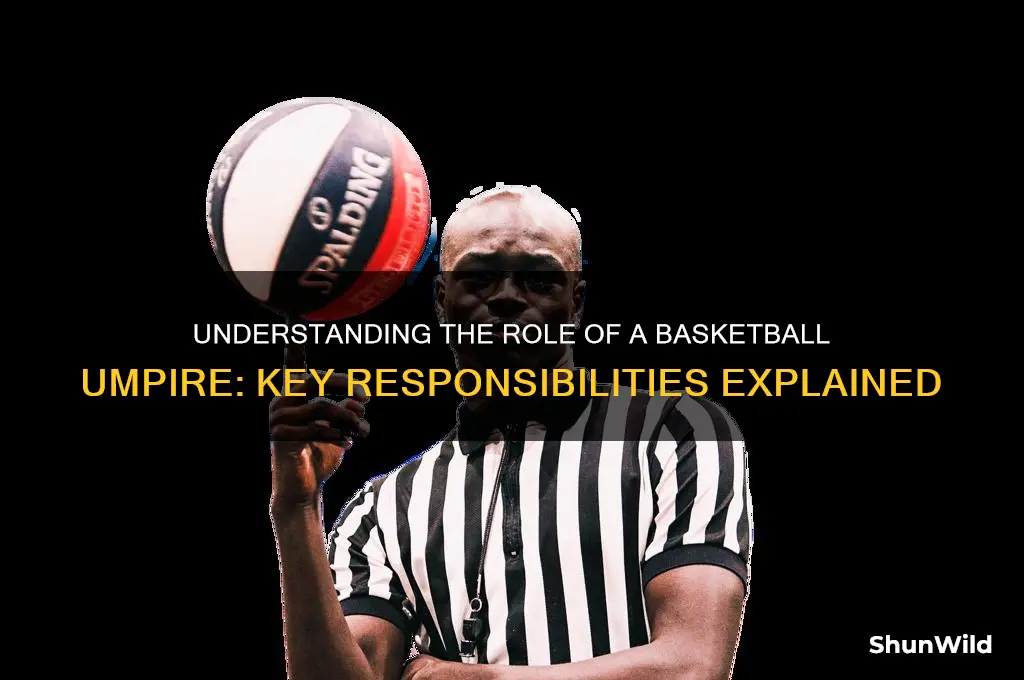 what is a umpire in basketball