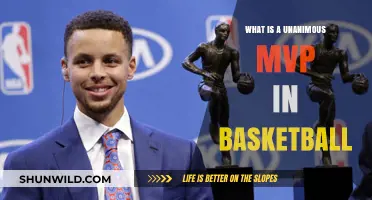 Understanding the Unanimous MVP Award in Basketball: A Comprehensive Guide