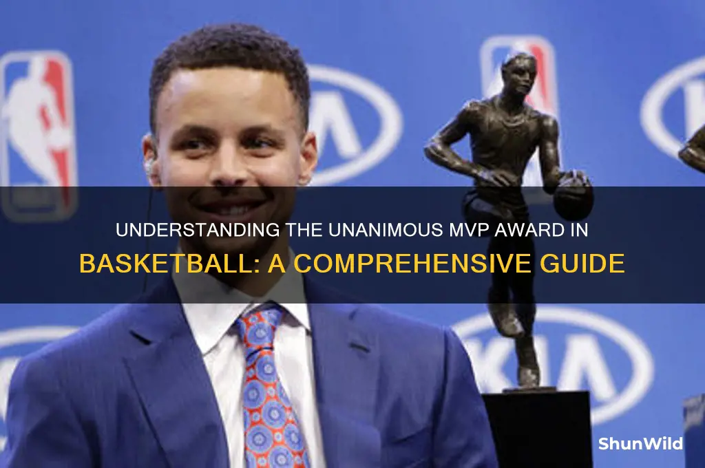 what is a unanimous mvp in basketball