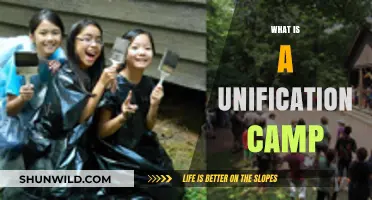 Understanding Unification Camps: Purpose, Activities, and Impact Explained