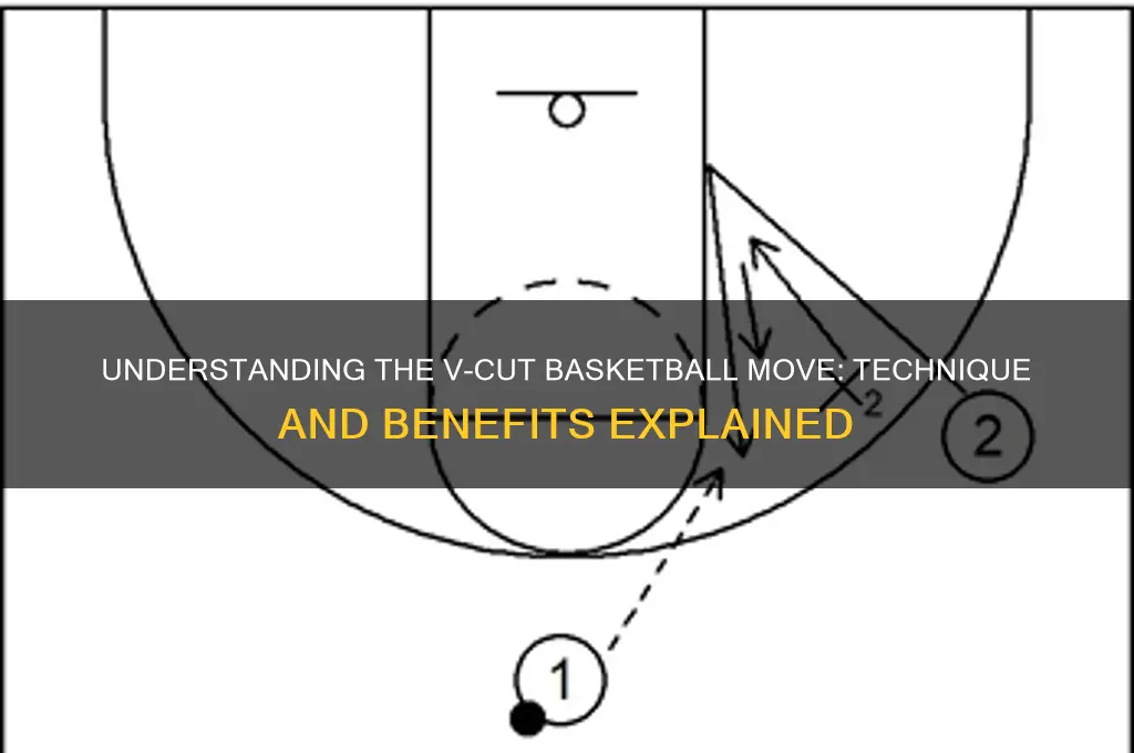 what is a v cut basketball