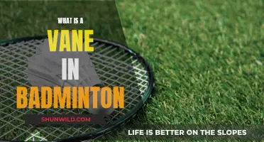 Understanding Badminton Racket Vanes: Ultimate Guide