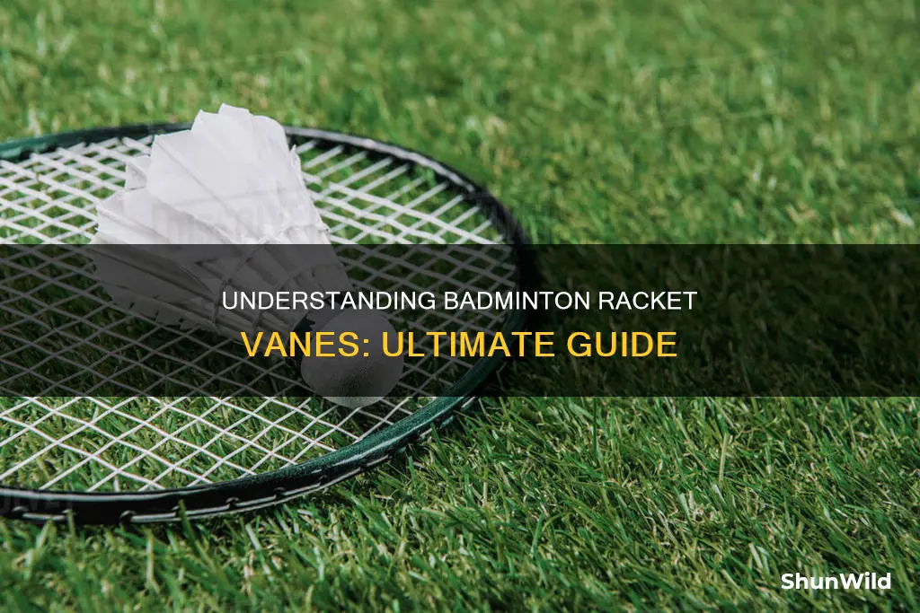what is a vane in badminton