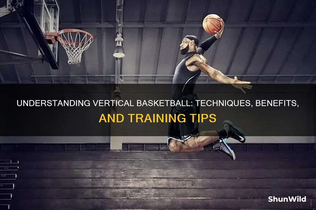 what is a vertical basketball