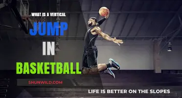 Mastering the Vertical Jump: A Basketball Player's Essential Skill