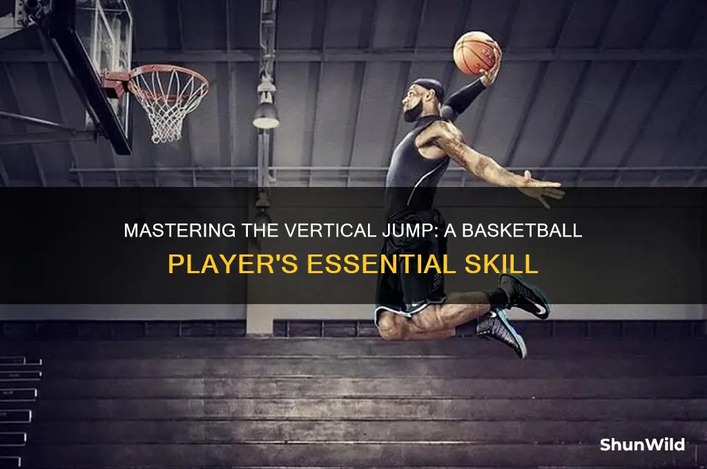 what is a vertical jump in basketball