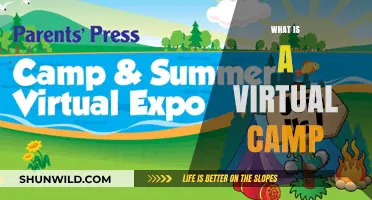 Exploring Virtual Camps: Online Adventures for Kids and Teens