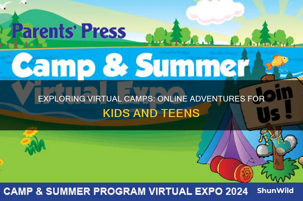 what is a virtual camp