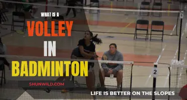 Understanding the Basics: What's a Badminton Volley?