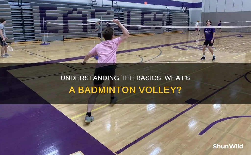 what is a volley in badminton