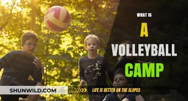 Discover the Benefits and Fun of Attending a Volleyball Camp