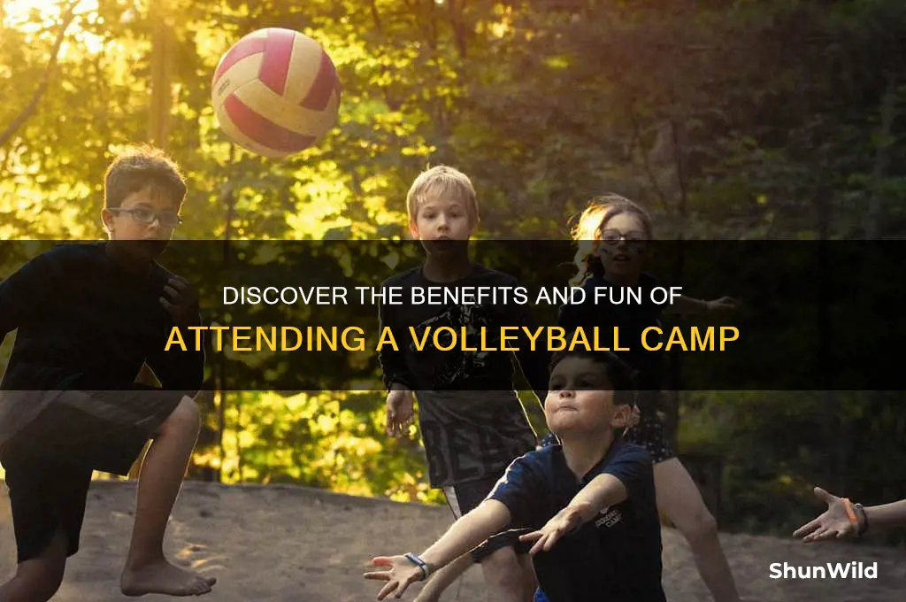what is a volleyball camp
