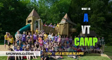 Understanding VT Camps: Purpose, Activities, and Benefits Explained