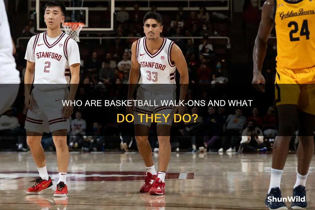 what is a walk on in basketball