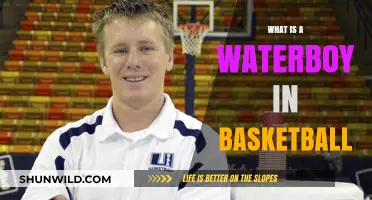 Understanding the Role of a Waterboy in Basketball Teams