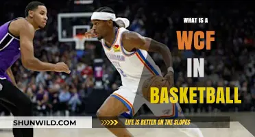 Understanding the WCF: A Deep Dive into Basketball's Conference Finals