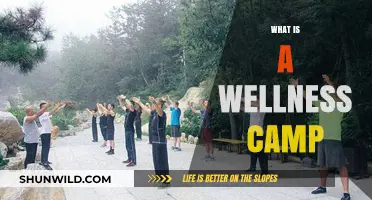 Discover Holistic Health: What Is a Wellness Camp?